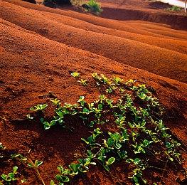 《黑神话：悟空》发售两个月 仍有超十万玩家在线