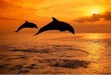 Steam下架成人游戏真凶曝光：背后是女权组织在搞鬼